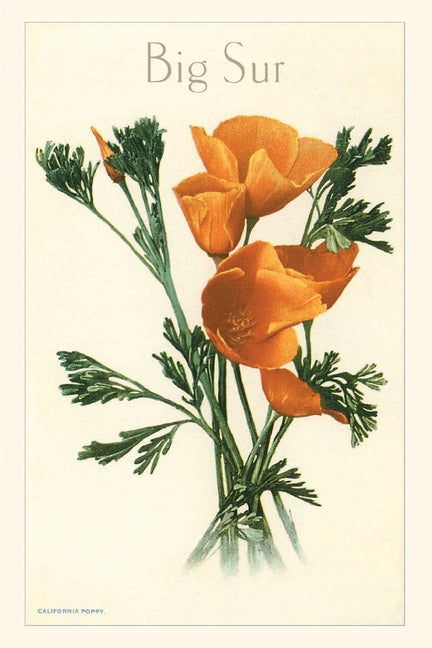 Book cover for Vintage Journal California Poppy, Big Sur