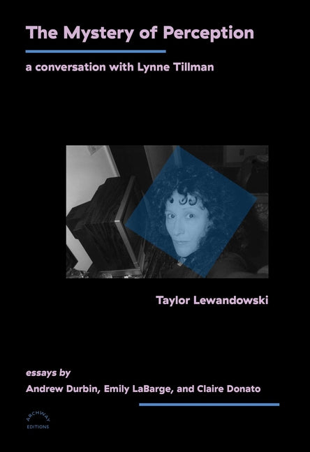 Book cover for Mystery of Perception: A Conversation with Lynne Tillman