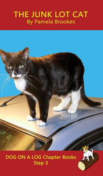 Book cover for Junk Lot Cat Chapter Book: Sound-Out Phonics Books Help Developing Readers, including Students with Dyslexia, Learn to Read (Step 3 in a Systemat