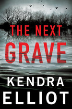 Book cover for Next Grave