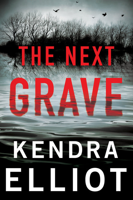 Book cover for Next Grave