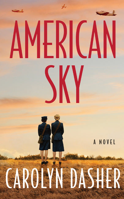 Book cover for American Sky