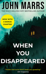 Book cover for When You Disappeared