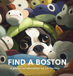 Book cover for Find a Boston