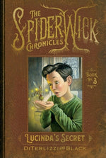 Book cover for Lucinda's Secret
