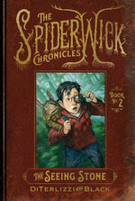 Book cover for The Seeing Stone