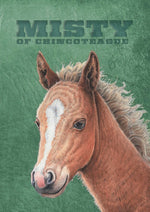 Book cover for Misty of Chincoteague: Special Edition