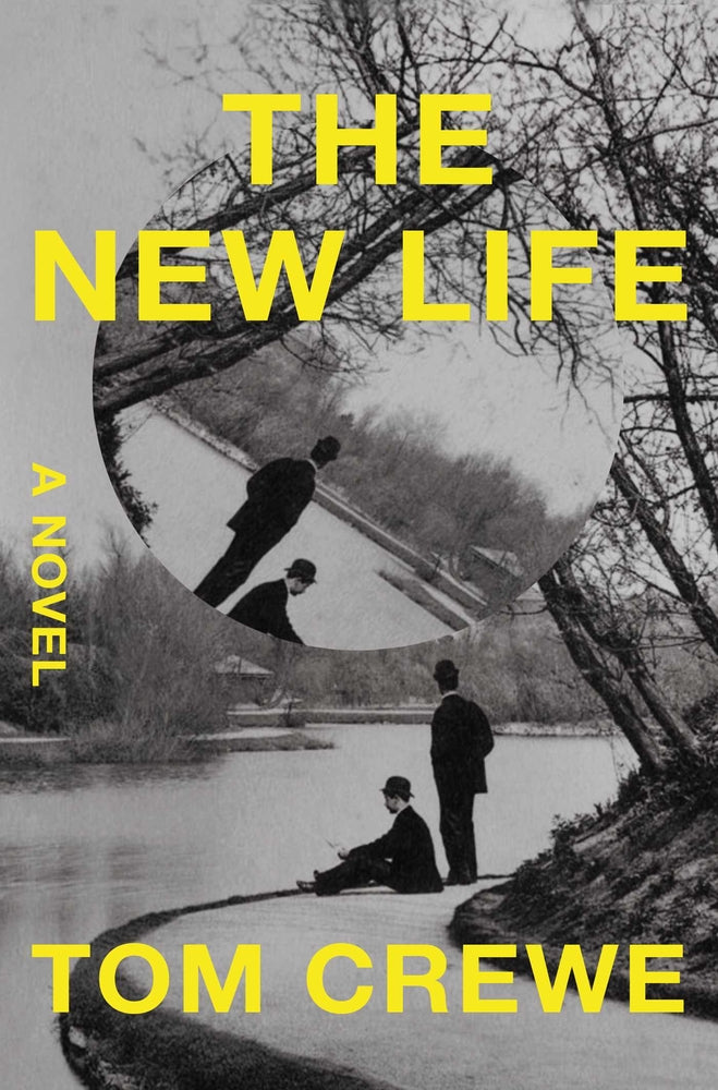 Book cover for The New Life