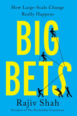 Book cover for Big Bets: How Large-Scale Change Really Happens