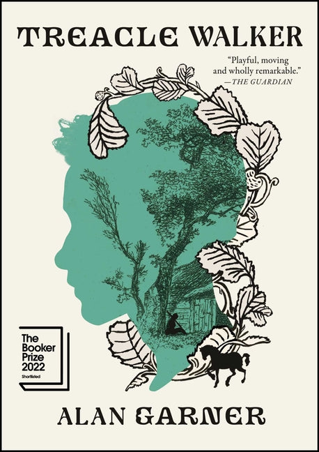 Book cover for Treacle Walker