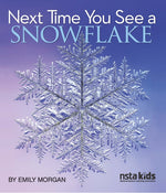 Book cover for Next Time You See a Snowflake