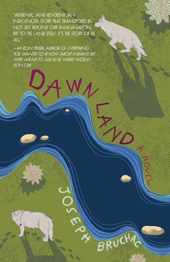 Book cover for Dawn Land