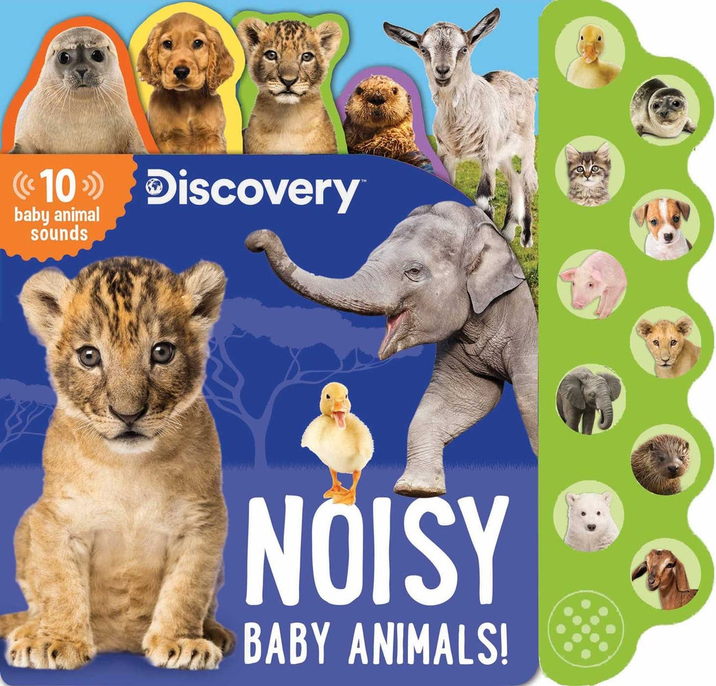 Book cover for Discovery: Noisy Baby Animals!