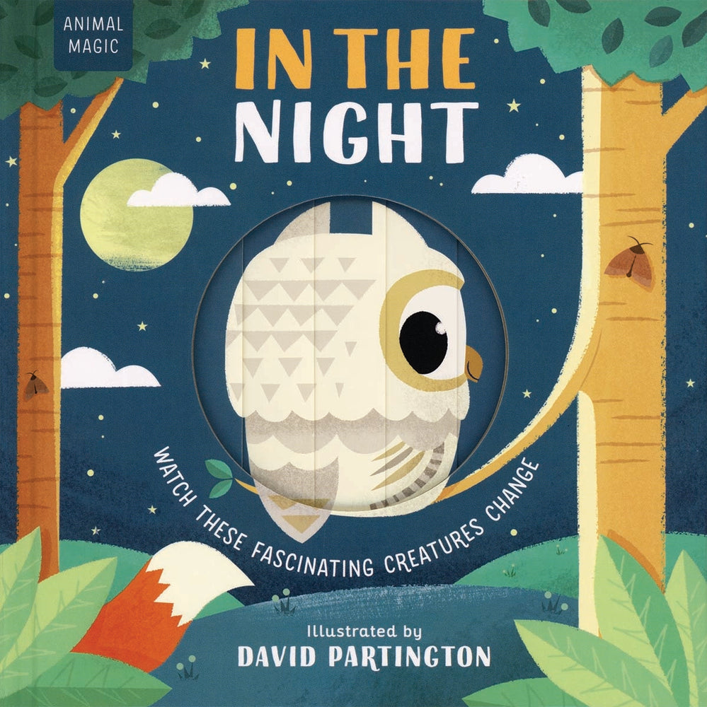Book cover for In the Night