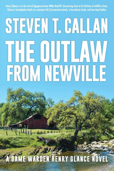 Book cover for Outlaw from Newville