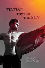 Book cover for Tilting Toward the Sun: A Chance to Love