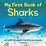 Book cover for My First Book of Sharks: All about the Largest Fish in the Sea for Kids
