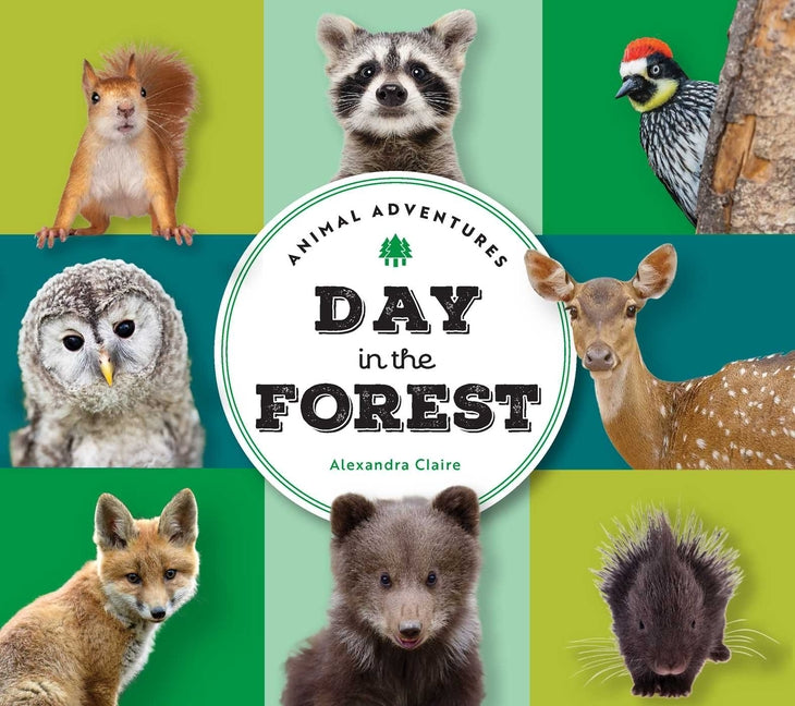 Book cover for Animal Adventures: Day in the Forest