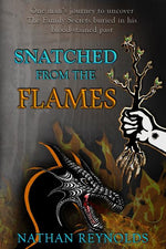 Book cover for Snatched from the flames: One man's journey to uncover The Family Secrets buried in his blood-stained past