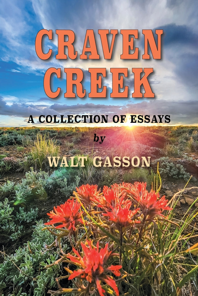 Book cover for Craven Creek
