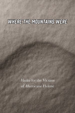 Book cover for Where the Mountains Were