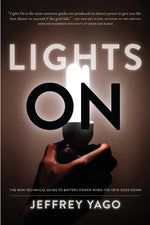 Book cover for Lights On