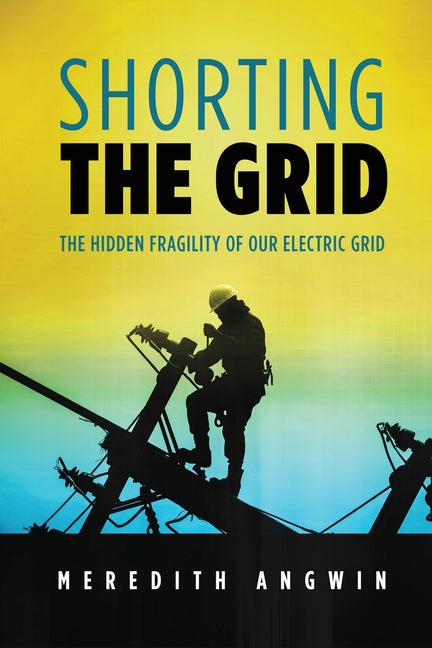 Book cover for Shorting the Grid: The Hidden Fragility of Our Electric Grid