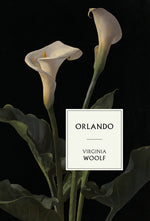 Book cover for Orlando