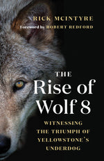 Book cover for The Rise of Wolf 8: Witnessing the Triumph of Yellowstone's Underdog