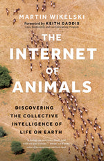 Book cover for Internet of Animals: Discovering the Collective Intelligence of Life on Earth