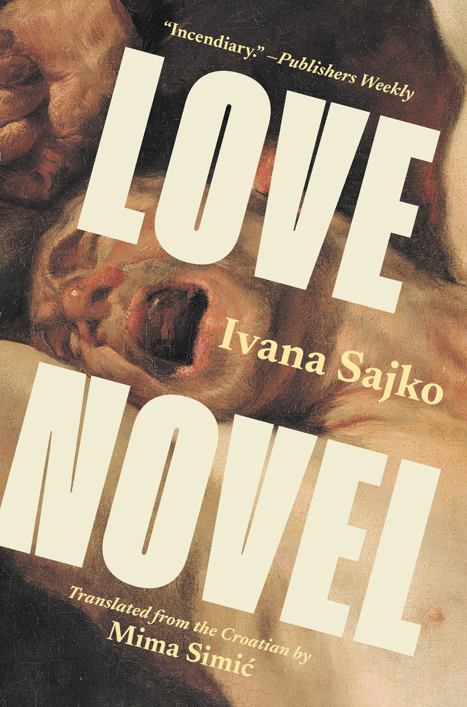 Book cover for Love Novel