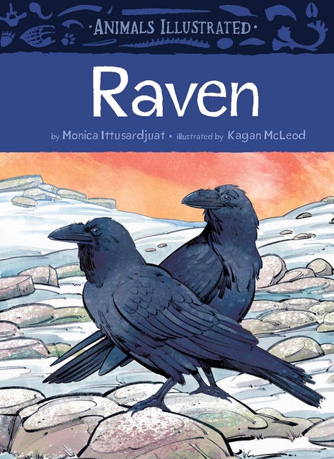 Book cover for Animals Illustrated: Raven