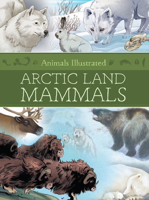 Book cover for Animals Illustrated: Arctic Land Mammals