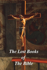 Book cover for The Lost Books of The Bible