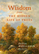 Book cover for Wisdom from the Hidden Life of Trees
