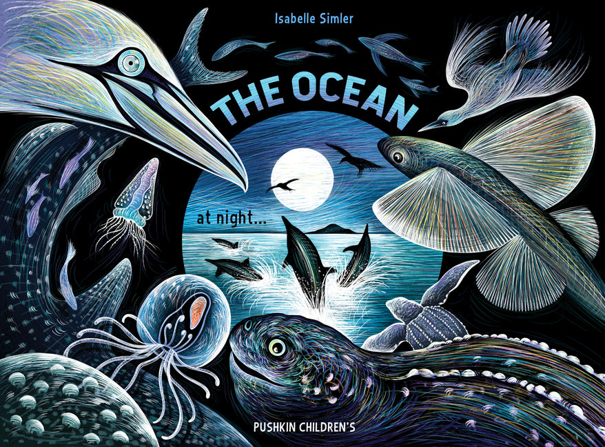 Book cover for Ocean at Night