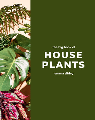 Book cover for The Big Book of House Plants