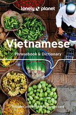 Book cover for Lonely Planet Vietnamese Phrasebook & Dictionary 9