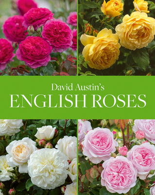 Book cover for David Austin's English Roses