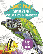 Book cover for Amazing Color by Numbers Large Print