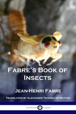 Book cover for Fabre's Book of Insects