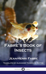 Book cover for Fabre's Book of Insects