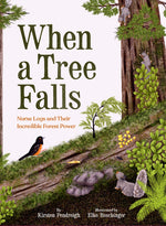 Book cover for When a Tree Falls: Nurse Logs and Their Incredible Forest Power