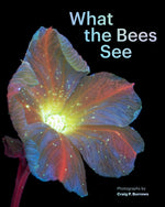 Book cover for What the Bees See: A Honeybee's Eye View of the World