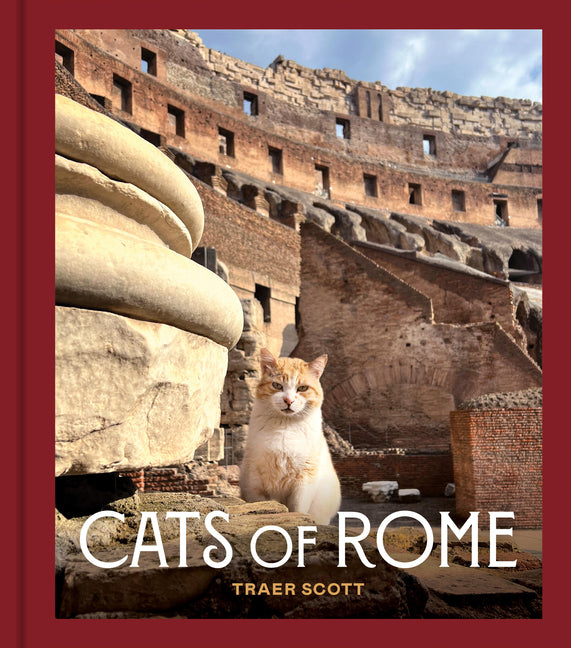 Book cover for Cats of Rome