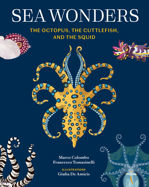 Book cover for Sea Wonders: The Octopus, the Cuttlefish, and the Squid