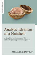 Book cover for Analytic Idealism in a Nutshell: A Straightforward Summary of the 21st Century's Only Plausible Metaphysics