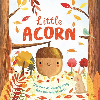 Book cover for Nature Stories: Little Acorn-Discover an Amazing Story from the Natural World: Padded Board Book