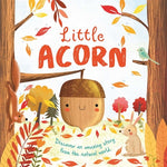 Book cover for Nature Stories: Little Acorn-Discover an Amazing Story from the Natural World: Padded Board Book