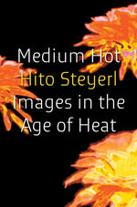 Book cover for Medium Hot: Images in the Age of Heat